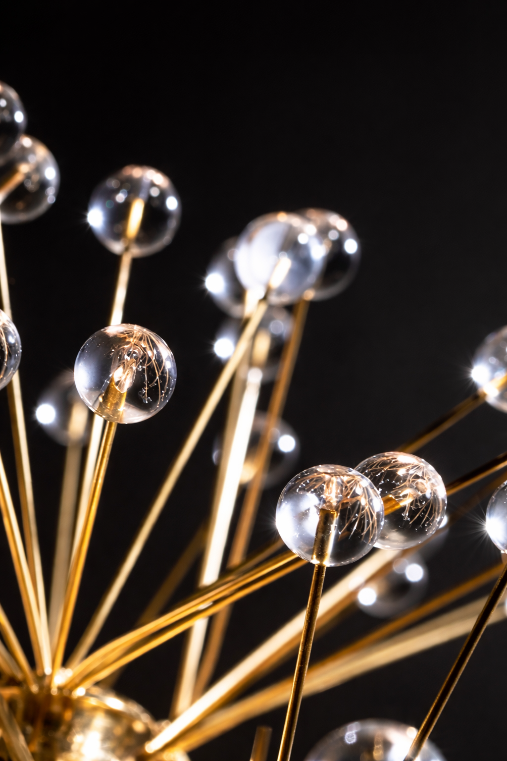 ثريّا أوريليون أوربيت